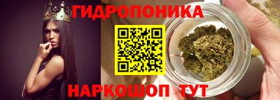 индика Ливны
